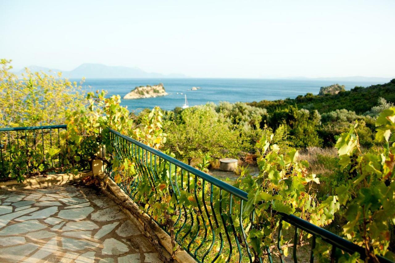 Villa Palmyra Pogonia ภายนอก รูปภาพ